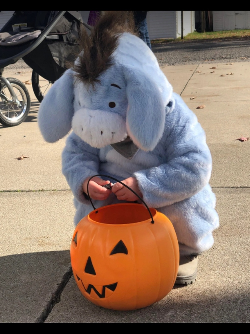 Pottery Barn Kids Winnie The Pooh Eeyore Halloween Costume size 6-12 Months Rare